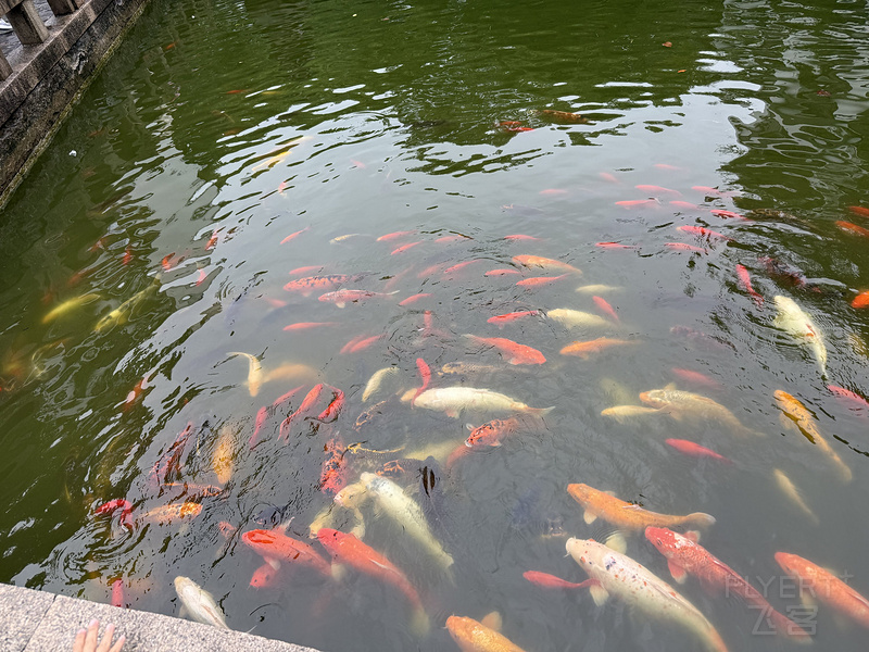 寰俊鍥剧墖_20250610141003.jpg 寰俊鍥剧墖_20250610141003.jpg