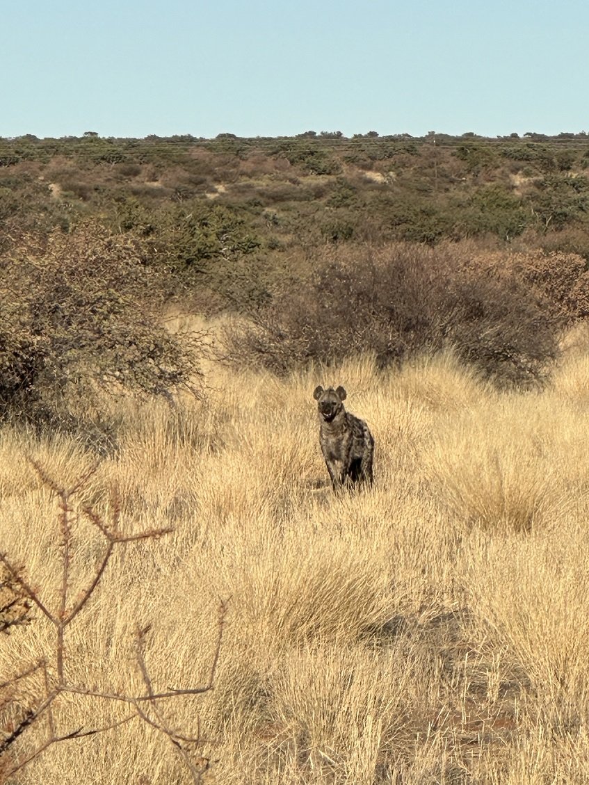 ϷҰر - Tswalu Kalahari Reserve