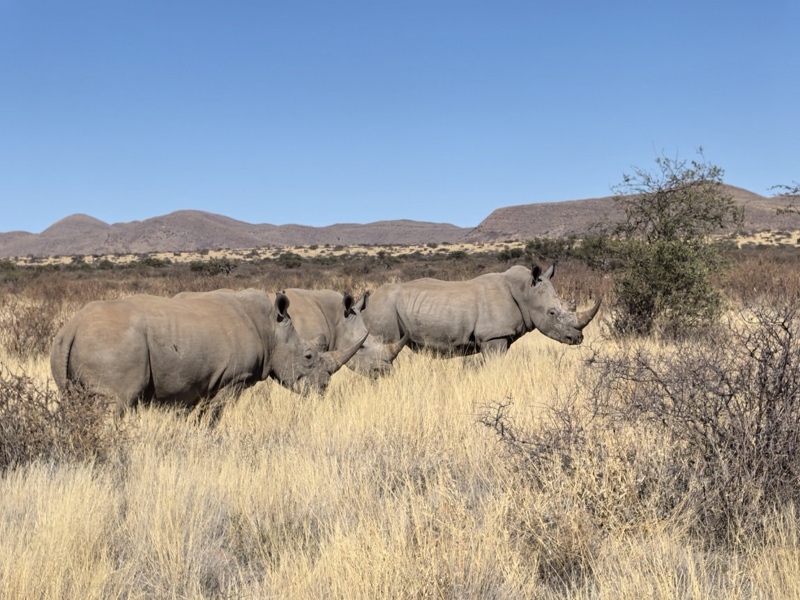 ϷҰر - Tswalu Kalahari Reserve