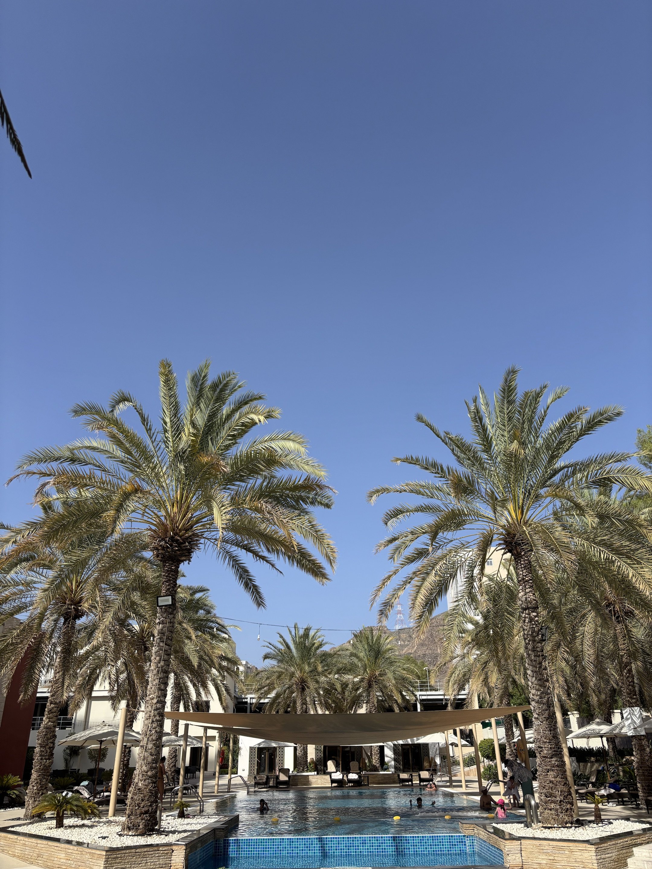 OMAN˹ϲ