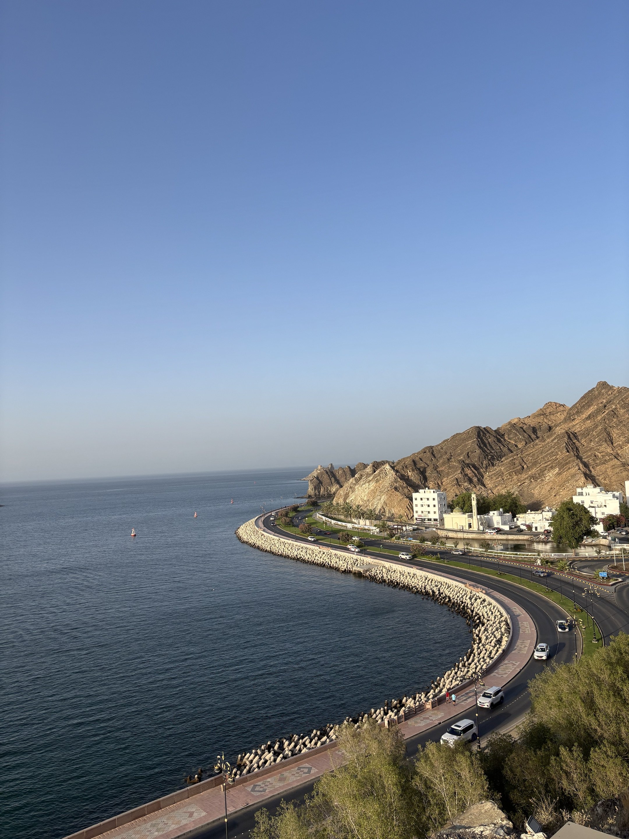 OMAN˹ϲ
