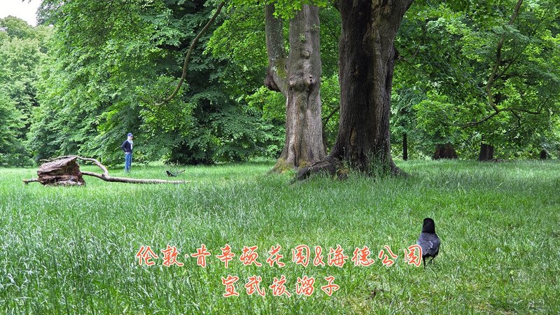 26.jpg 26.jpg