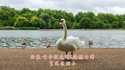 和老妈去英国·伦敦周边夕阳红自由行·三家万豪低价酒店