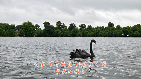 和老妈去英国·伦敦周边夕阳红自由行·三家万豪低价酒店