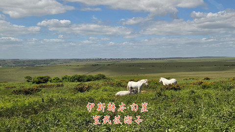 和老妈去英国·伦敦周边夕阳红自由行·三家万豪低价酒店