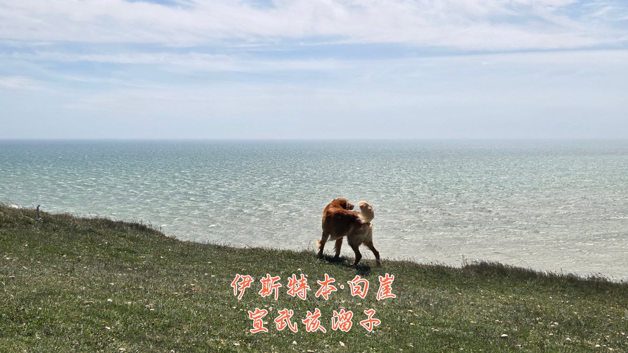 ȥӢ׶ܱϦСͼ۾Ƶ