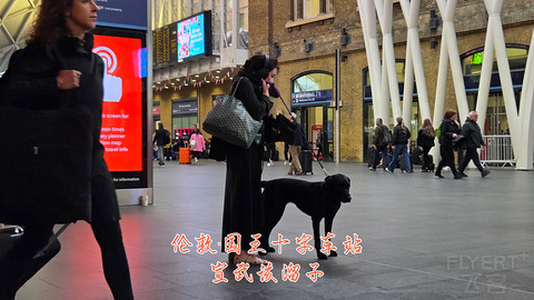 和老妈去英国·伦敦周边夕阳红自由行·三家万豪低价酒店