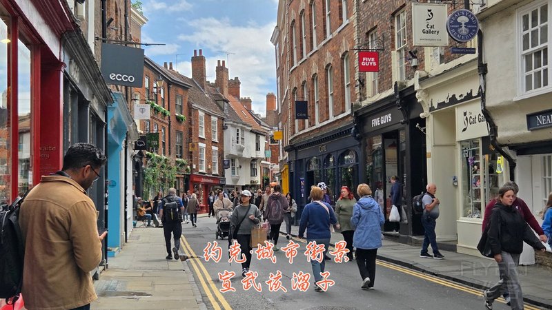 204.jpg 204.jpg