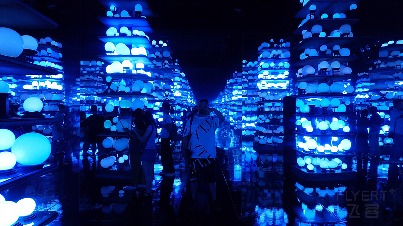 20250524_120309.JPG