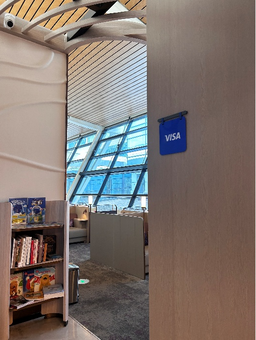 麽  VISA سѹϷֻ֡вͷϢ