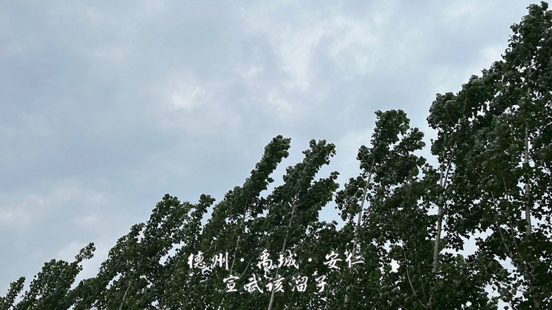22.jpg 22.jpg