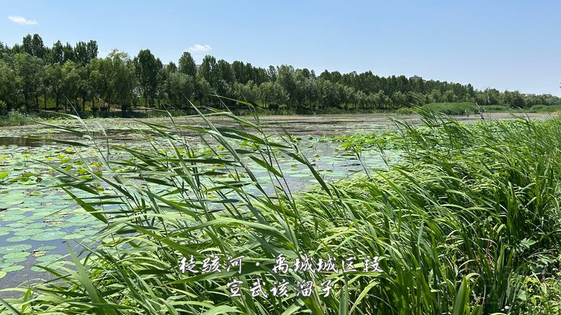 27.jpg 27.jpg