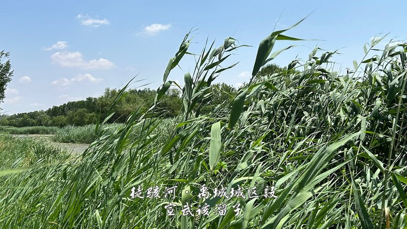 29.jpg 29.jpg