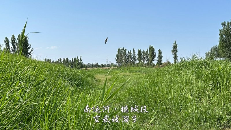 36.jpg 36.jpg