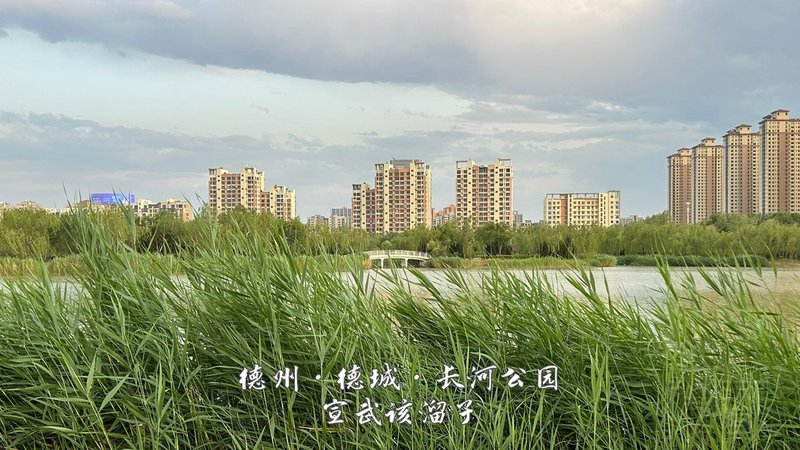 43.jpg 43.jpg