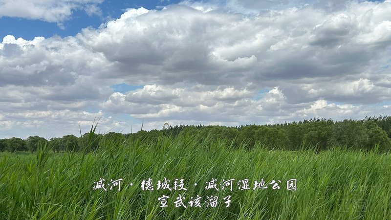 45.jpg 45.jpg