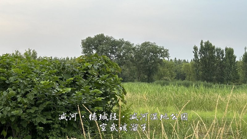 48.jpg 48.jpg