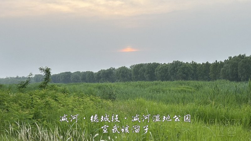46.jpg 46.jpg