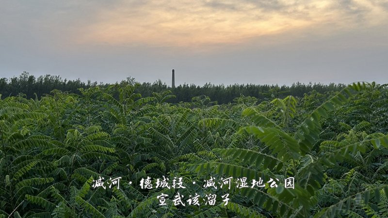 47.jpg 47.jpg