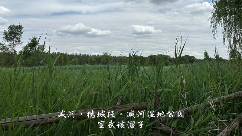 54.jpg 54.jpg