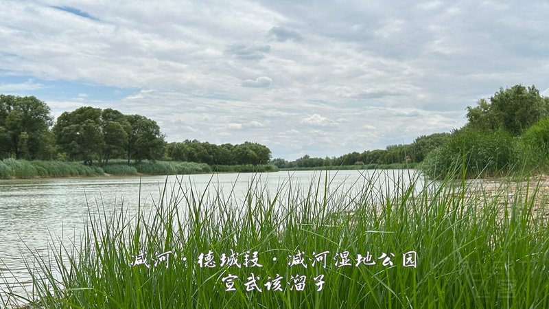 51.jpg 51.jpg