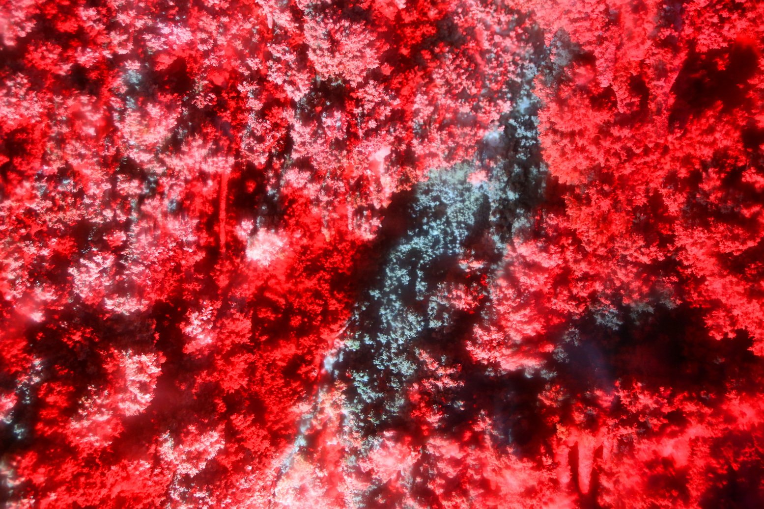 ڽ˼٣Ӳܺã覴  ޵ıʯ