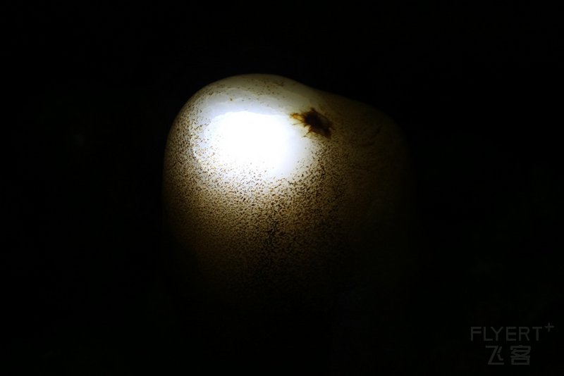 石花