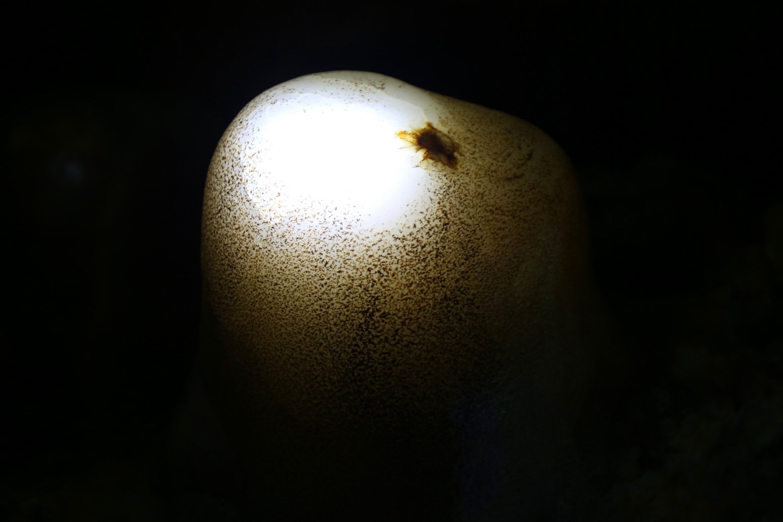 ڽ˼٣Ӳܺã覴  ޵ıʯ