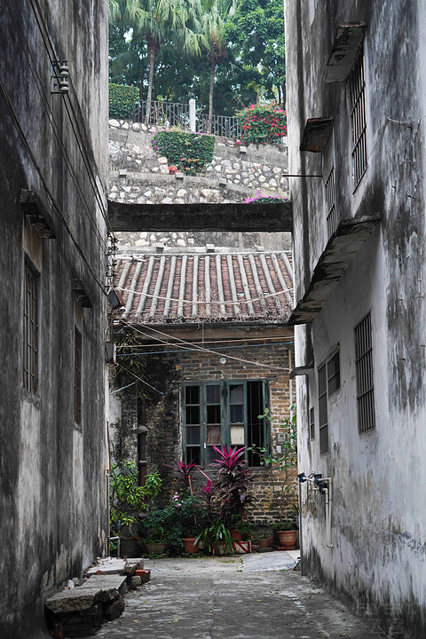 狂飙之路——中山利和威斯汀