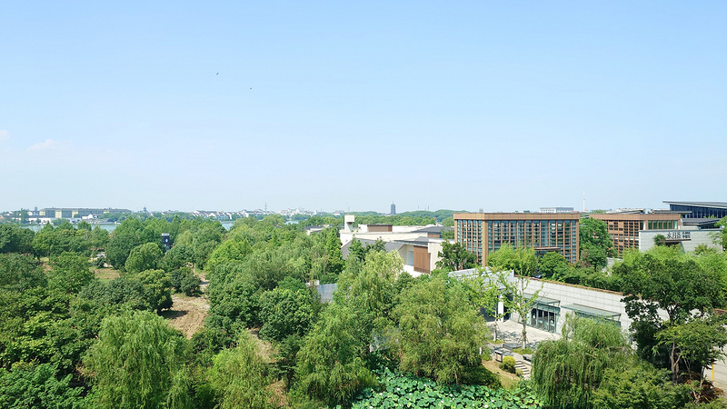 20250628_094713.JPG