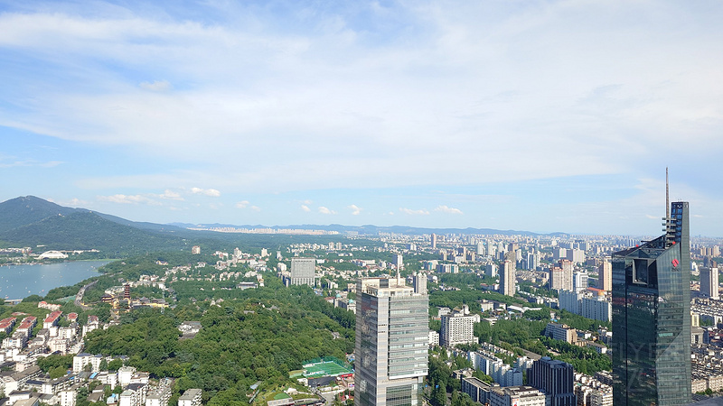 20250628_154419.JPG