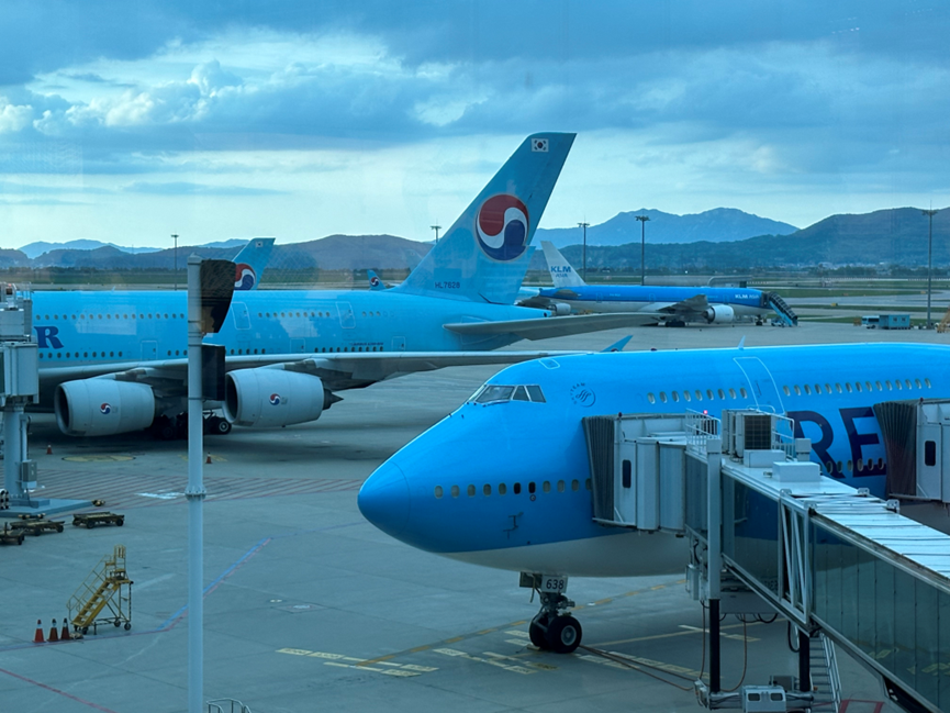 V޽磬ȨޣVisaֿ󺫺չʺרۿ