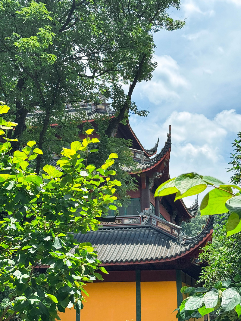 微信图片_2025-07-02_212832_100.jpg