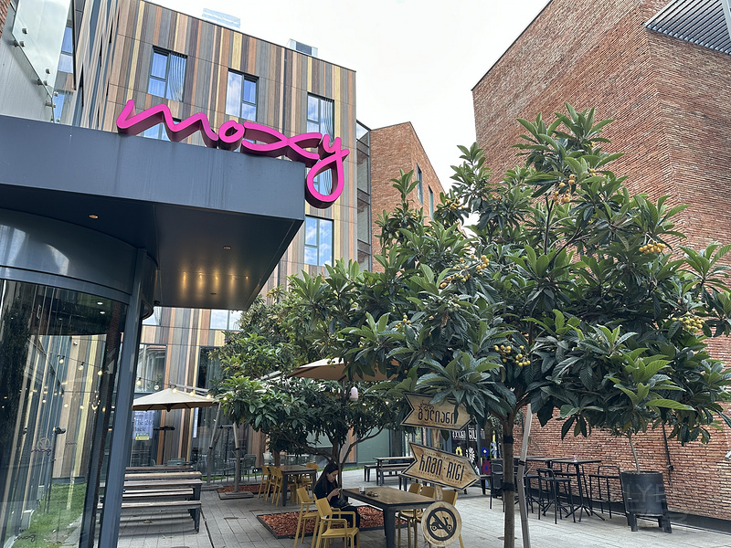 36 - moxy.jpg 36 - moxy.jpg