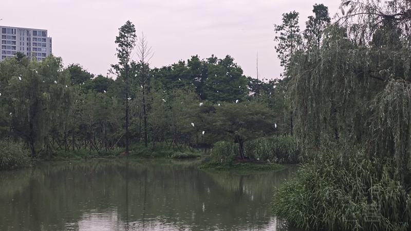 涔岄晣 (144).jpg 涔岄晣 (144).jpg
