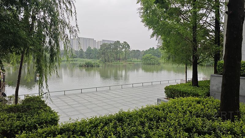 涔岄晣 (249).jpg 涔岄晣 (249).jpg