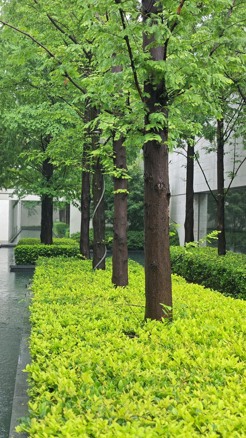 涔岄晣 (230).jpg 涔岄晣 (230).jpg