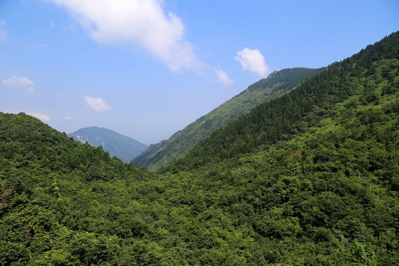 衡山 (8).JPG