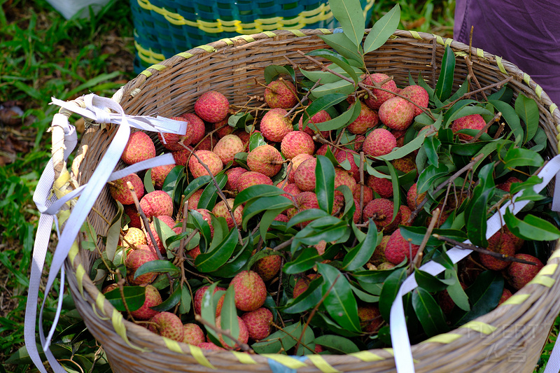 DSCF4953.jpg