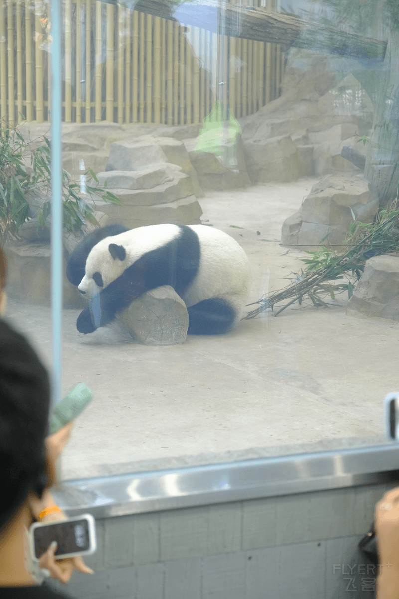 鍥剧墖6.png 鍥剧墖6.png