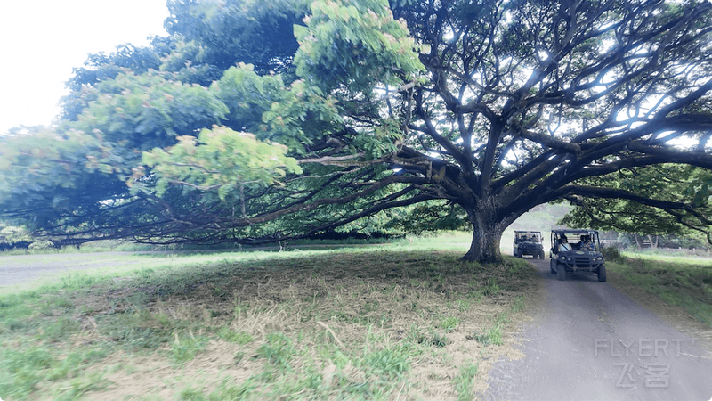WX20250719-124803@2x.png
