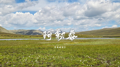 盛夏阿勒泰·走马观花自驾游