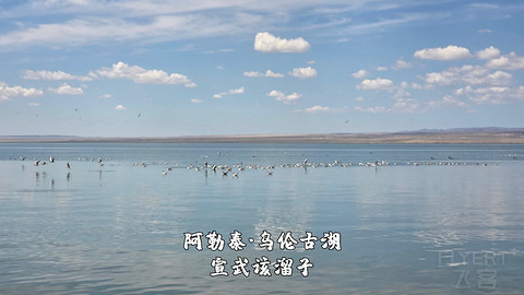 盛夏阿勒泰·走马观花自驾游