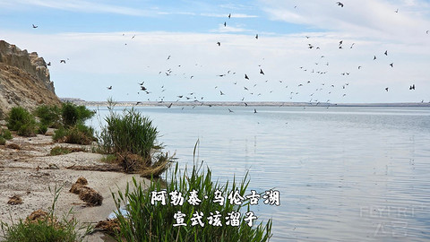 盛夏阿勒泰·走马观花自驾游