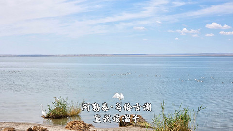 盛夏阿勒泰·走马观花自驾游