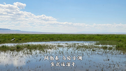 盛夏阿勒泰·走马观花自驾游