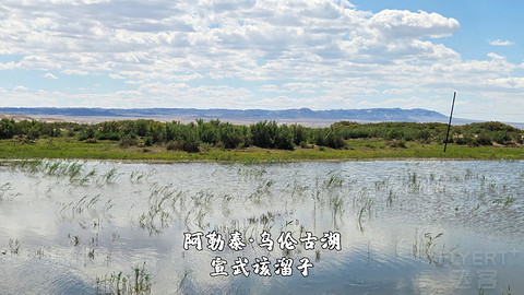 盛夏阿勒泰·走马观花自驾游