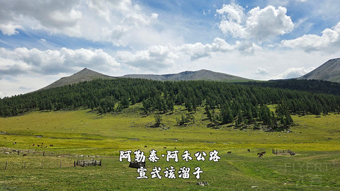 盛夏阿勒泰·走马观花自驾游
