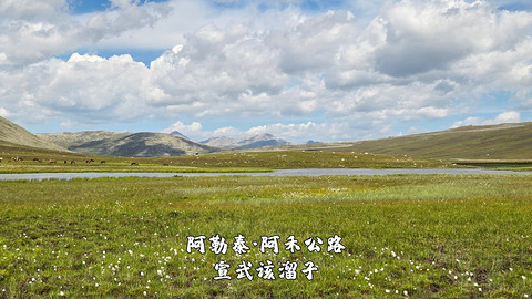 盛夏阿勒泰·走马观花自驾游