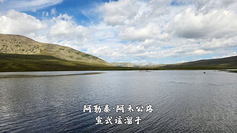 盛夏阿勒泰·走马观花自驾游